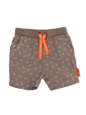 Sterntaler Shorts in rauchgrau