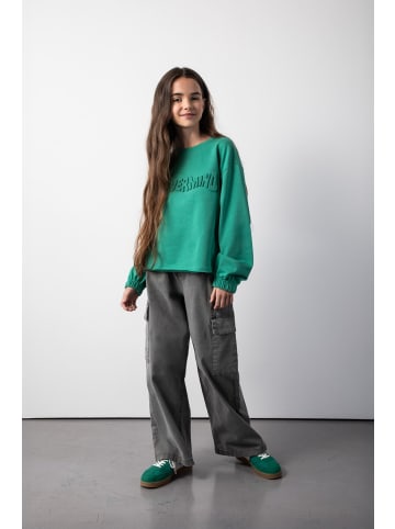Coccodrillo Sweatshirt ohne Reißverschluss in grün