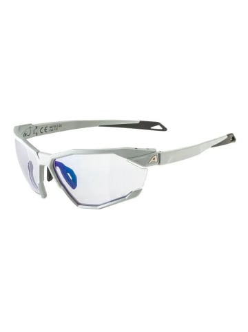 Alpina Ski-Sonnenbrille in grau