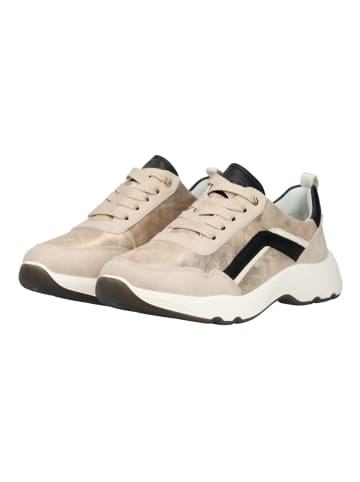 ara Sneaker in Beige/Schwarz