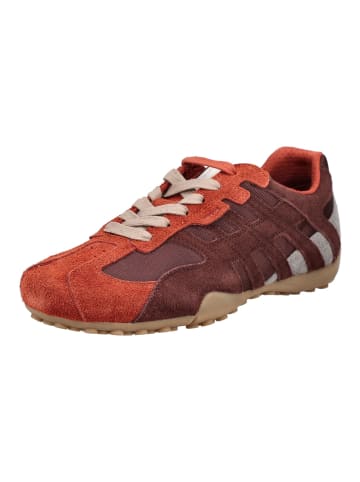 Geox Sneaker SNAKE SNAKE in Rot