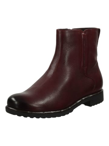 ara Stiefelette in Burgundy