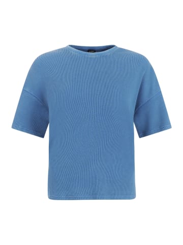 Protest " PRTAlston in Gladio Blue