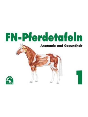 FN-Verlag Buch - Anatomie und Gesundheit