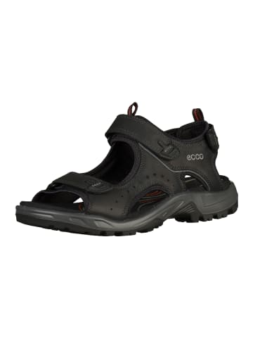 Ecco Sandalen in Schwarz