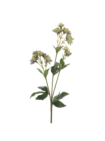 Fink Kunstblume Astrantia grün, lila - (H) 44 cm