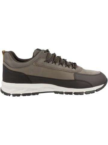 Geox Sneaker low U Delray B ABX B in braun