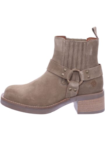 Apple of Eden Stiefeletten/Boot in beige