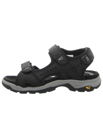 Camel Active Sandale in schwarz