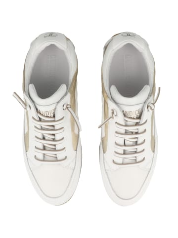 Candice Cooper Sneaker low RUNLO FLASH in weiss