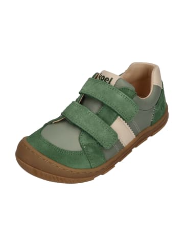 KOEL Sneaker Low KOBI W II  in grün