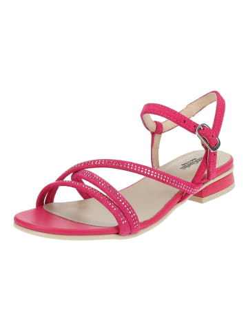 Nero Giardini Sandalen in Fuchsia