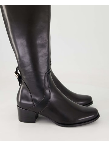 Terry Klassische Stiefel in Schwarz
