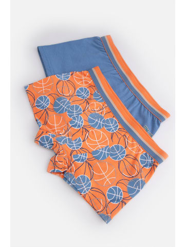 Coccodrillo Unterhose in bunt