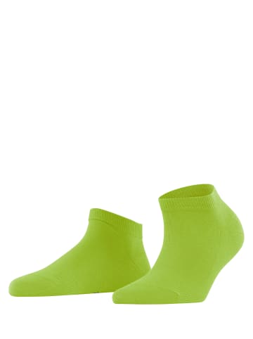 Falke Sneakersocken Family in Leaf green