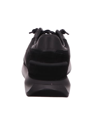 Cetti Sneaker in schwarz