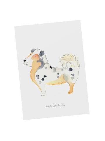 Mr. & Mrs. Panda Fotokarte Hund Australien Shepherd ohne Spruch in Weiß