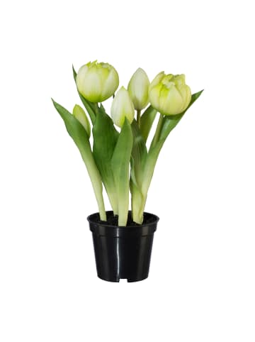 Creativ green Deko-Tulpen in weiß