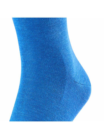 Falke Socken 2er Pack in Blau (Sapphire)