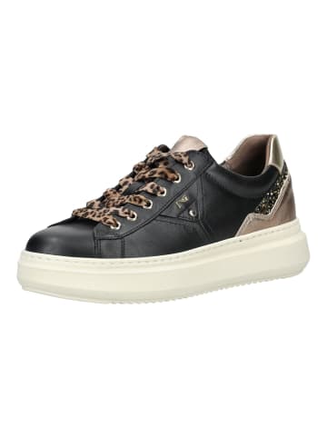 Nero Giardini Sneaker in Schwarz/Gold