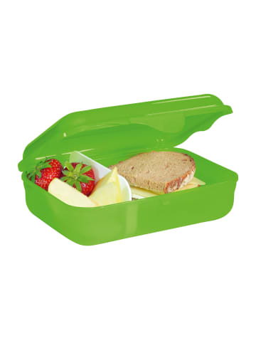 Step by Step Brotdose 18 cm in Ninja Kimo