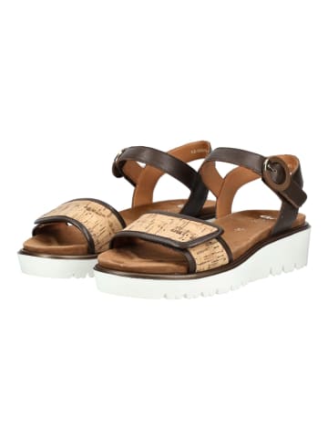 ara Sandalen in Braun