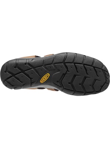 Keen Sandalen "CLEARWATER CNX LEATHER M" in Magnet/Schwarz
