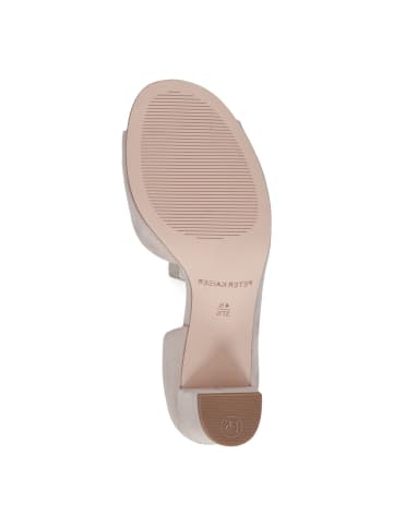 PETER KAISER Klassische Pumps in Beige