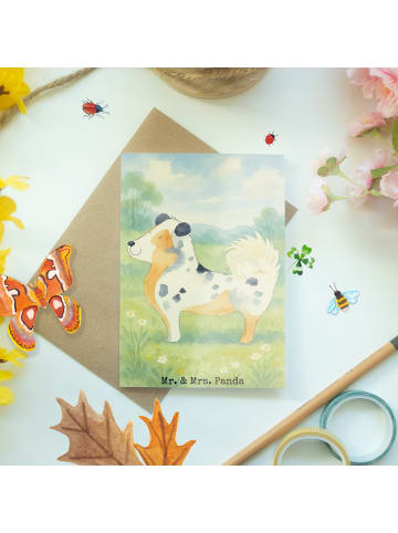 Mr. & Mrs. Panda Neujahrskarte Hund Australien Shepherd Design o... in Weiß