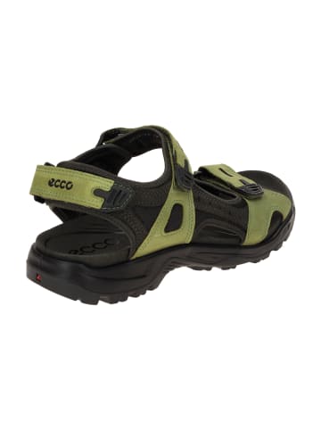 Ecco Trekkingsandalen in Grün