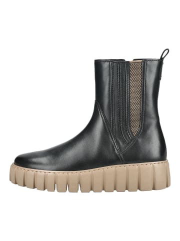 Gabor Stiefelette in Schwarz