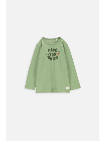 Coccodrillo Baumwoll-T-Shirt in khaki
