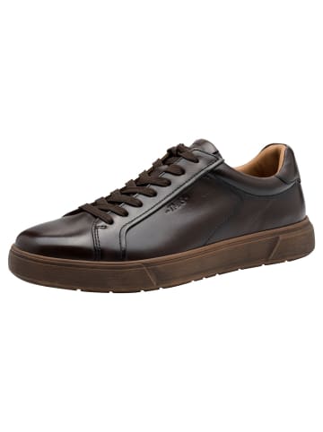 Tamaris Sneaker in DARK BROWN