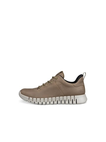 Ecco Sneakers Gruuv in Braun