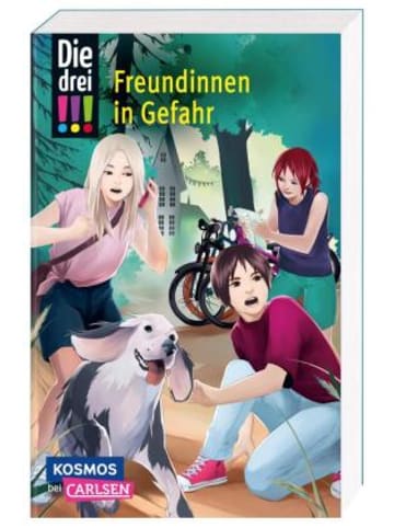 Carlsen Buch - Die drei !!! 50: Freundinnen in Gefahr (Dreifachband. Enthält die B
