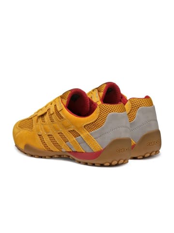 Geox Sneakers Low U Snake Orginal A in gelb