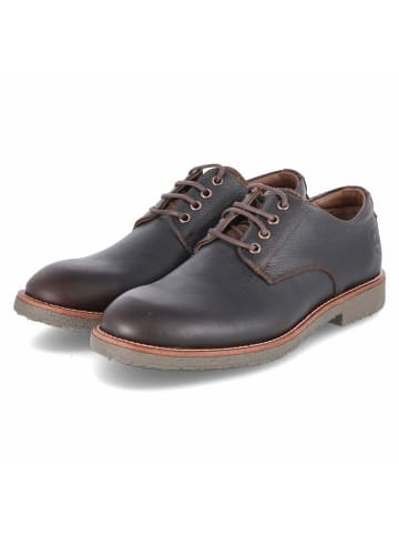 PANAMA JACK Schnürhalbschuh in brown