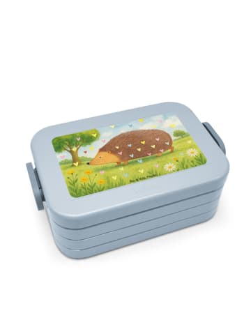 Mr. & Mrs. Panda Lunchbox Igel Herzen Design ohne Spruch in Blau Pastell