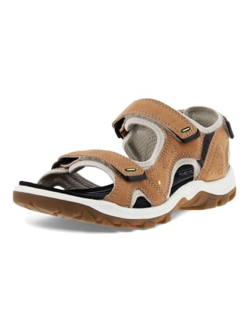 Ecco Sandalen in Braun