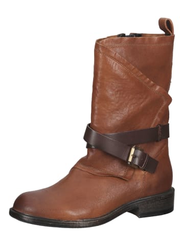 Geox Stiefelette in Coffee