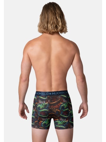 Muchachomalo 2er-Set: Boxershort in Mehrfarbig - für Herren