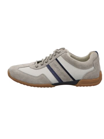Pius Gabor Sneaker in midgrey kombi