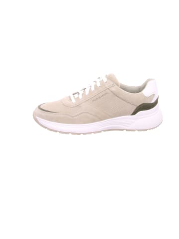 Pius Gabor Sneaker für Herren in beige