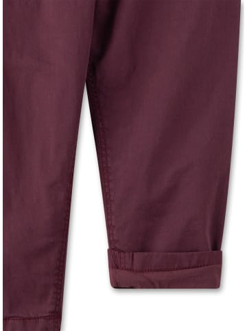 Sanetta Webhose in Rosa