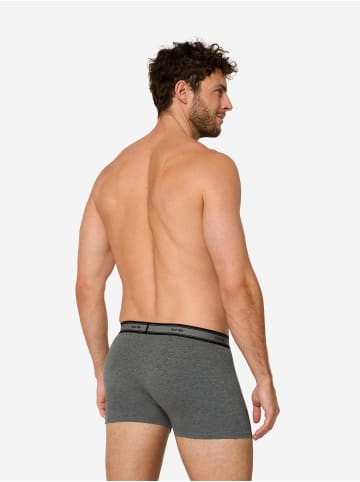 Nur Die  Retro Pants Boxer GOTS Organic Cotton in dunkelgrau/dunkelblau