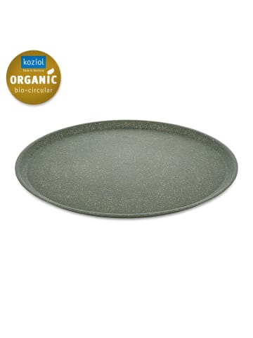 koziol CONNECT PLATE 255mm - Großer Teller 255mm in nature ash grey