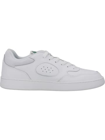 Lacoste Klassische- & Business Schuhe in WHT/WHT