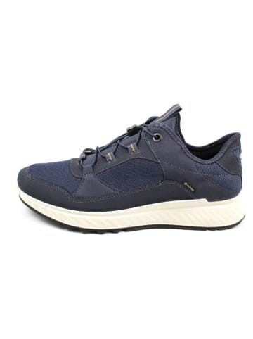 Ecco Sneaker in blau