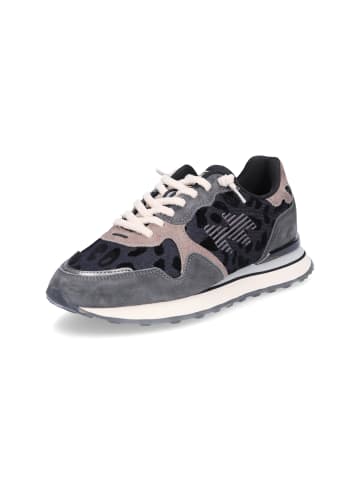 Maripe Sneaker Amsterdam in Grau Leo