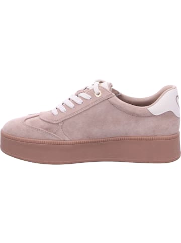 Marco Tozzi Schnürschuhe in TAN COMB